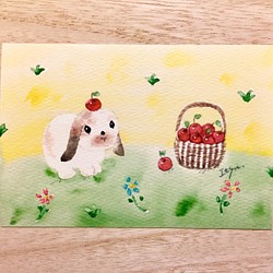 透明水彩画「野原で遊ぶロップイヤー」ポストカード 3枚セット　うさぎ　ウサギ　りんご　リンゴ　メッセージカード 1枚目の画像