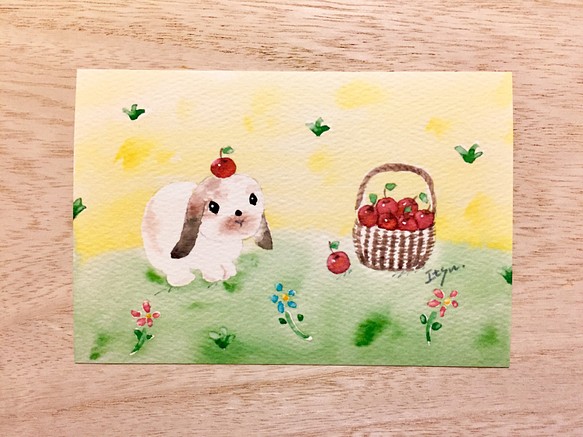 透明水彩画「野原で遊ぶロップイヤー」ポストカード 3枚セット　うさぎ　ウサギ　りんご　リンゴ　メッセージカード 1枚目の画像