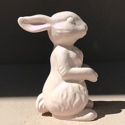 ウサギちゃん 1枚目の画像