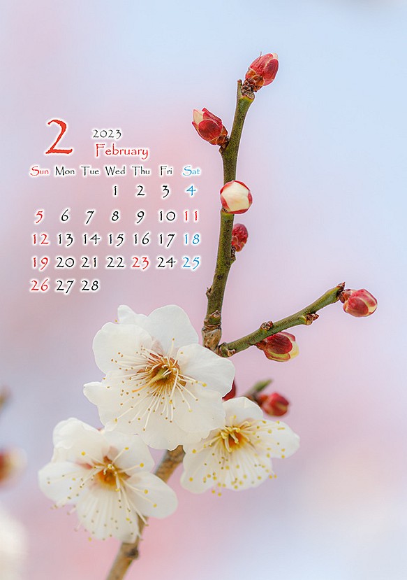 2L花カレンダー 2023年2月～梅～ 172㎜x121㎜ カレンダー IZMIXPHOTO 通販｜Creema(クリーマ)  ハンドメイド・手作り・クラフト作品の販売サイト