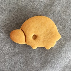 カモノハシ　クッキー　型 1枚目の画像