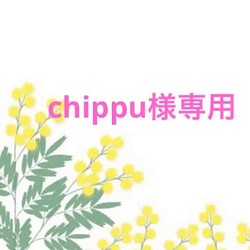 chippu様専用 1枚目の画像