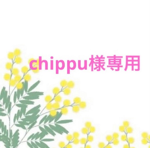 chippu様専用 1枚目の画像