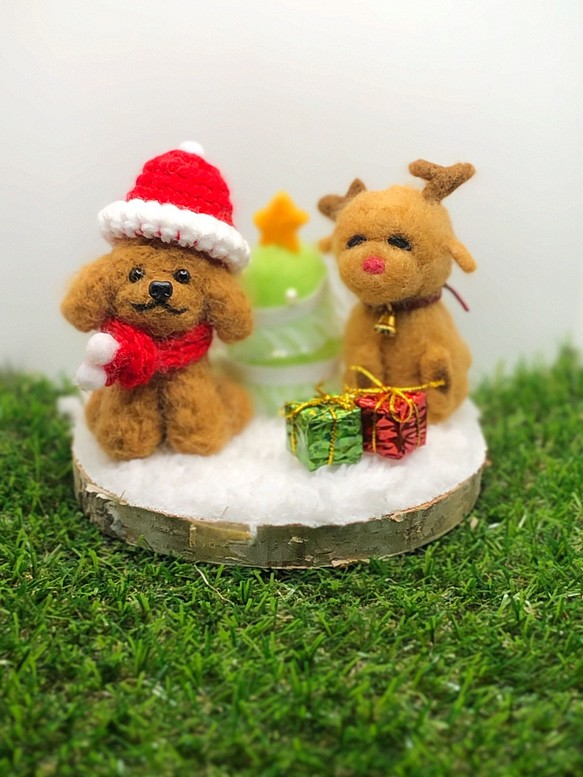 羊毛フェルト クリスマストイプードル レッド 羊毛フェルト petit