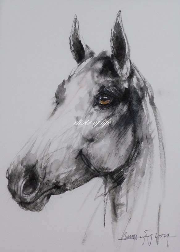 馬の白黒のポートレート２０２２（墨絵、厚い和紙２６ｃｍ×３６ｃｍ） 1枚目の画像