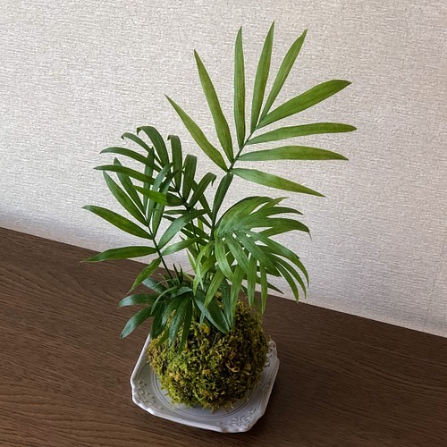 送料無料 テーブルヤシの苔玉 インテリア性の高い観葉植物 フラワー リース Mossball 通販 Creema クリーマ ハンドメイド 手作り クラフト作品の販売サイト