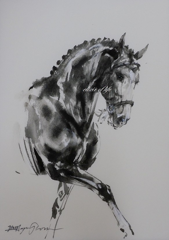 Dressage Horse（墨絵、厚い和紙２６ｃｍ×３６ｃｍ,墨、パステル