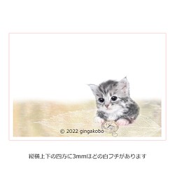 「科戸の風に吹かれて」猫　葉　ほっこり癒しのイラストポストカード2枚組No.020 1枚目の画像