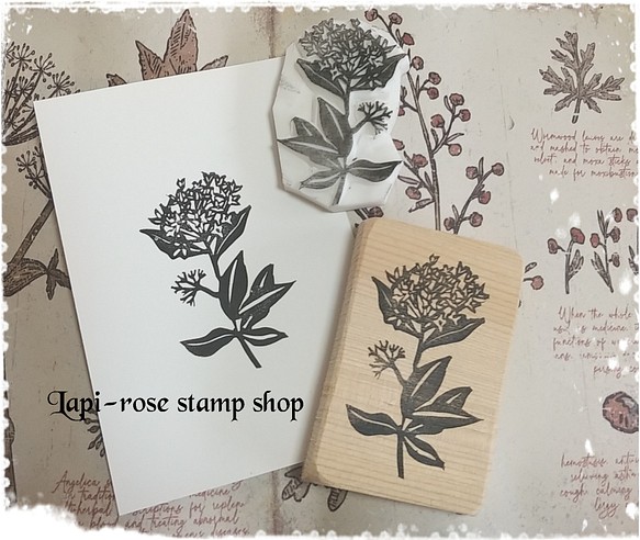 ブバルディアのスタンプ 取っ手選べます 手彫り はんこ スタンプ Lapi Rose Stampshop 通販 Creema クリーマ ハンドメイド 手作り クラフト作品の販売サイト