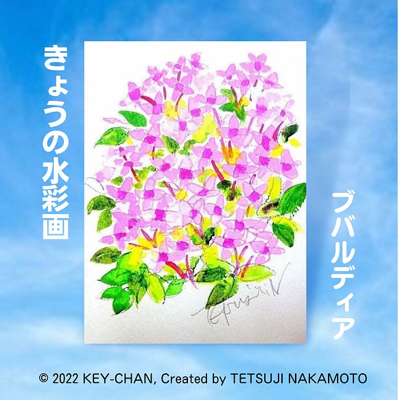 きょうの花 ブバルディア 色紙作品番号bf1010 絵画 キーちゃん 通販 Creema クリーマ ハンドメイド 手作り クラフト作品の販売サイト