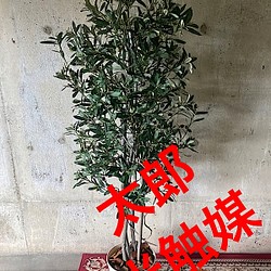 光触媒人工観葉植物ウォールグリーンフェイクフラワーハンドメイド