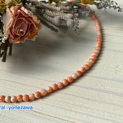土佐の深海からの贈り物　♡　コーラルピンクの宝石珊瑚　ネックレス　日本製シルバークラスプ 1枚目の画像