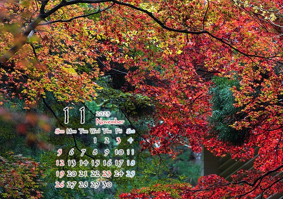2L花カレンダー　2023年11月～紅葉～　172㎜x121㎜ 1枚目の画像