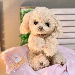 トイプードル ぬいぐるみ ハンドメイド ぬいぐるみ ぽぽみ 通販 ...