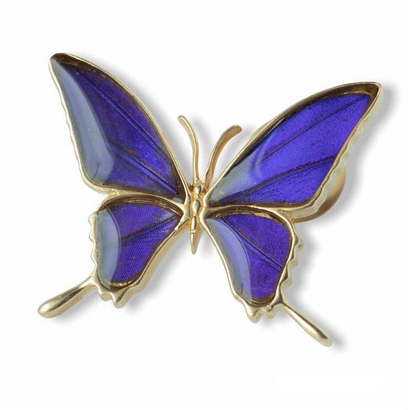 本物の蝶の羽　タスキアゲハ蝶デザイン バタフライラペルピン　ムラサキツバメ　[zps076g-pur] 1枚目の画像