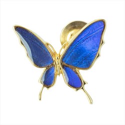 本物の蝶の羽　舞い飛ぶアゲハ蝶デザイン バタフライラペルピン　カキカモルフォ　[zps077g-cac] 1枚目の画像