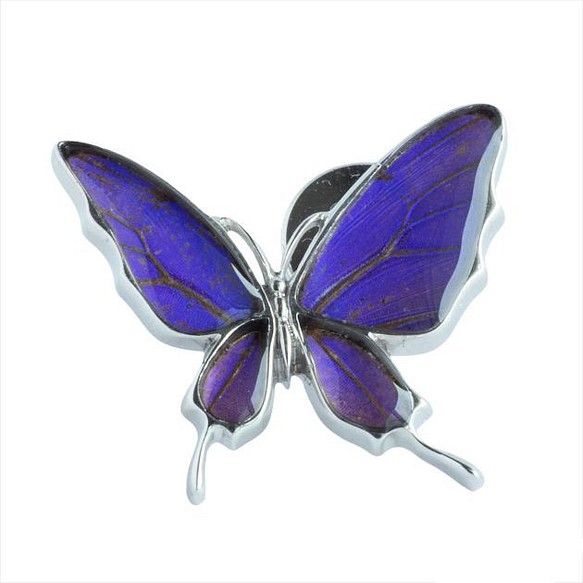 本物の蝶の羽　舞い飛ぶアゲハ蝶デザイン バタフライラペルピン　ムラサキツバメ　[zps077r-pur] 1枚目の画像