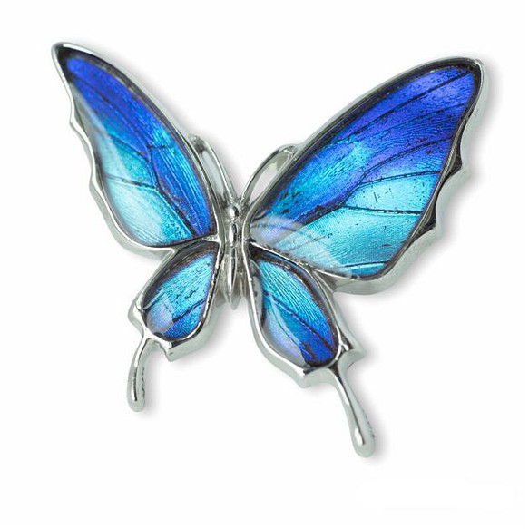 本物の蝶の羽　舞い飛ぶアゲハ蝶デザイン バタフライラペルピン　タミラスムラサキシジミ　[zps077r-thamy] 1枚目の画像