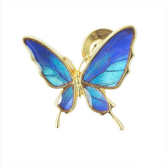 本物の蝶の羽　舞い飛ぶアゲハ蝶デザイン バタフライラペルピン　タミラスムラサキシジミ　[zps077g-thamy] 1枚目の画像