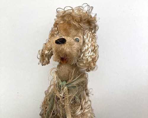アンティークプードルぬいぐるみ　dog ドック イギリスアンティーク シュタイフ　テデイベア　おもちゃ