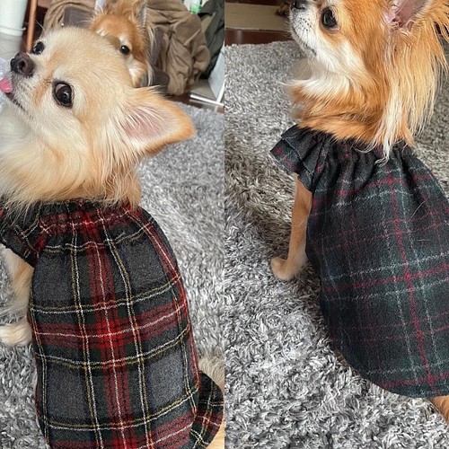 犬服 オーダー ウール素材のチェック柄 ギャザースモッグ ペット服