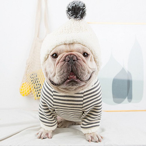 犬服 横線柄 可愛い ペットウェア仮装 ３サイズ対応 寒い対策 厚くて