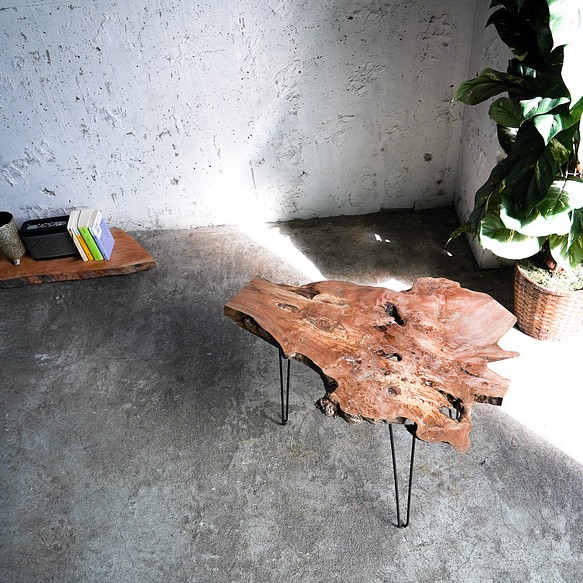 ヤマボウシの根元の輪切り一枚板 サイドテーブル（高さ・カラー変更