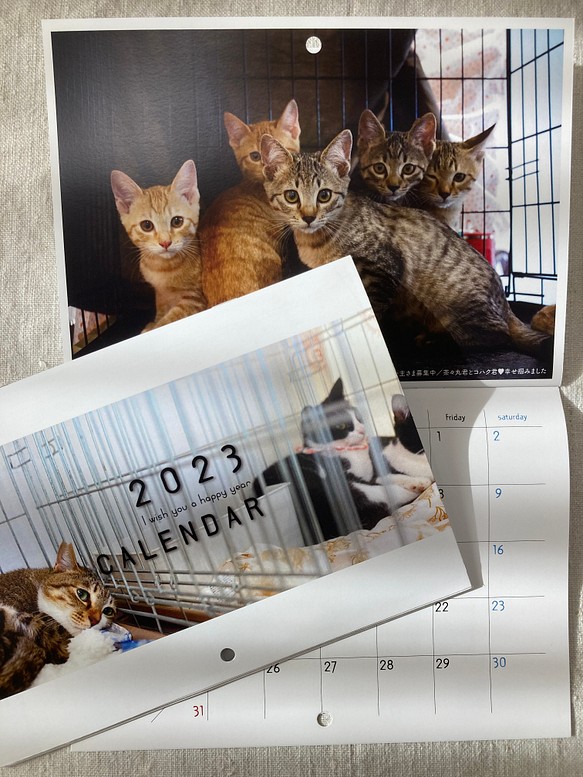 お買い物で繋がる猫達の命［sakuraneko］オリジナル2023年版カレンダー（ラッピング無料） 1枚目の画像