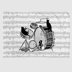 ドラムと黒猫のブランケット 1枚目の画像