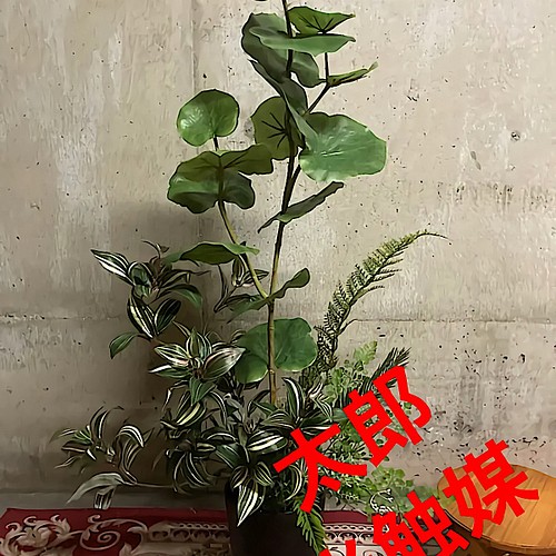 光触媒 人工観葉植物 ウォールグリーン フェイクグリーン シェフレラ