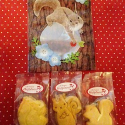 ニホンリス柄ジッパーバッグにリスの形のクッキー３袋♪ 1枚目の画像