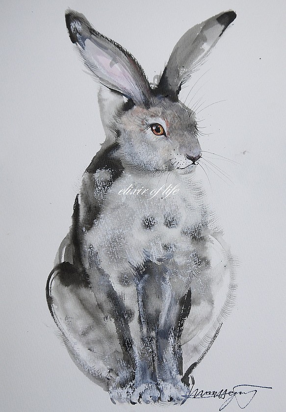 座るウサギ２０２２(水彩画用紙、墨絵、21cm×２９ｃｍ、Ａ４サイズ、墨、水彩、パステル） 1枚目の画像