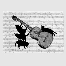 ギターと黒猫のブランケット 1枚目の画像
