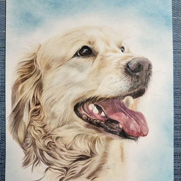 色鉛筆画 犬の絵 - インテリア