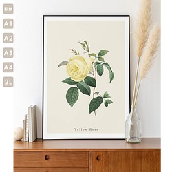 ポスター ボタニカル イエローローズ バラ 花 観葉植物 おしゃれ オリジナルデザイン アートポスター A1 A2 A 1枚目の画像