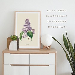 ポスター ボタニカル ライラック 花 観葉植物 おしゃれ オリジナルデザイン アートポスター A1 A2 A 1枚目の画像