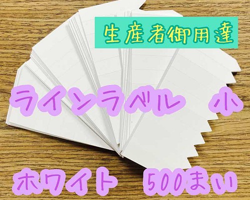 ラインラベル 小 白 500枚園芸ラベル カラーラベル 多肉植物