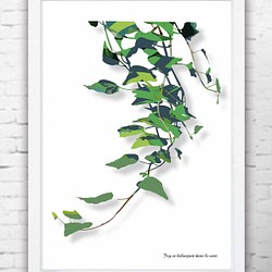 風にそよぐ　植物　イラスト　おしゃれ   ポスター　A4    アート　アートポスター　全作定評品質　806 1枚目の画像