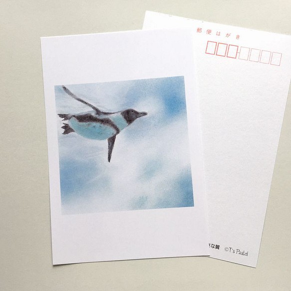 １９１　選べるポストカード　小さな翼⑥　5枚セット 1枚目の画像
