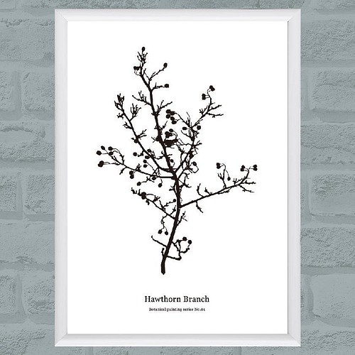 アートポスター A4サイズ 北欧 シンプル モダン 植物 インテリア