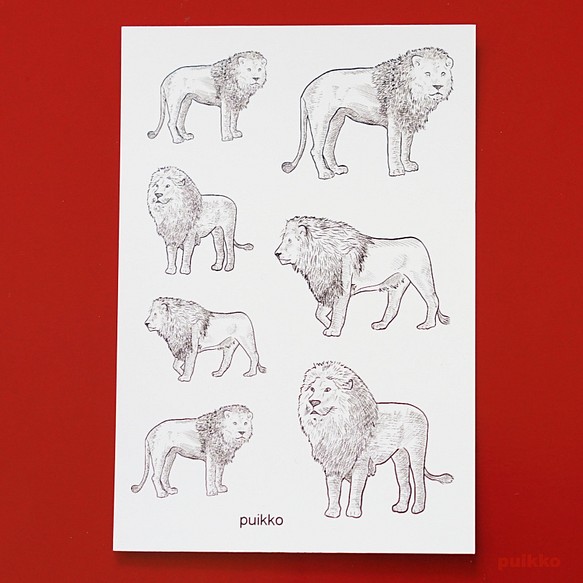 紋身貼紙獅子 第1張的照片