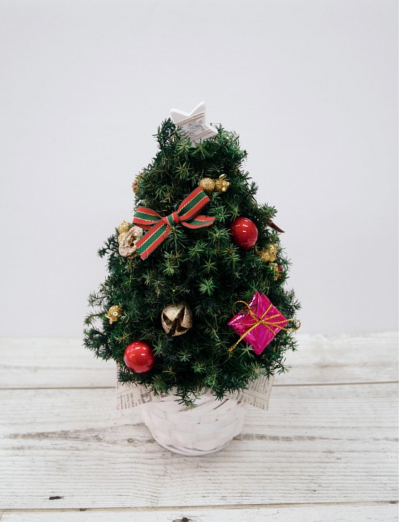 プリザーブド　ヒムロスギのクリスマスツリー 1枚目の画像