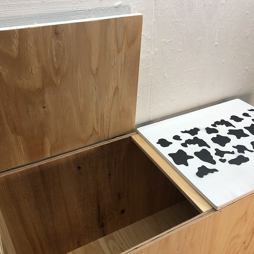 USHI 牛 ウッドボックス WHITE ロング 収納箱 BOX お買い得!! その他