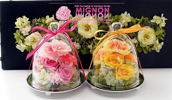 プリザーブドフラワーガラスドーム入り　～ フリフリのフリルの花びらがミルフィーユのよう ～　母の日に人気 1枚目の画像