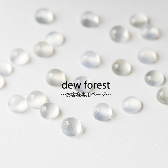 専用ページ】スタッドピアス２点 ピアス（スタッド・一粒） dew forest