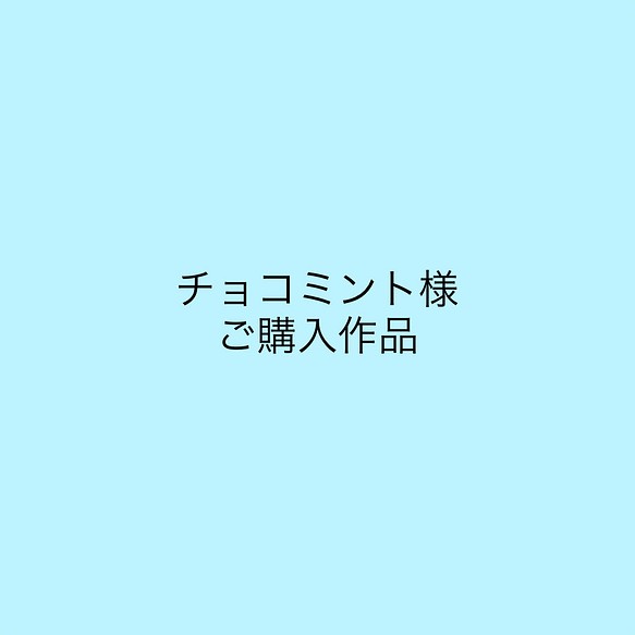 チョコミント様ご購入ページ オーダーメイドスノードーム その他