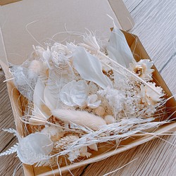 白いドライフラワー素材　花材セット 1枚目の画像