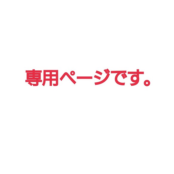 専用ページ アイオライトサンストーンのシルバーブレスレット 指輪