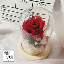 樂愛L’e Love-浪漫七夕情人節永生玫瑰玻璃罩 永生花玻璃罩 情人節 第1張的照片