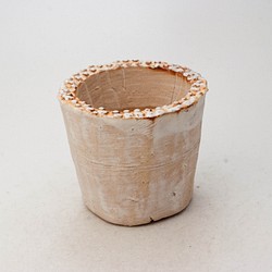陶器製（2号ポット相当） #多肉植物 の欲しがる 植木鉢  SSS-5482 1枚目の画像